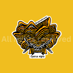 Cyerce nigra - Sticker