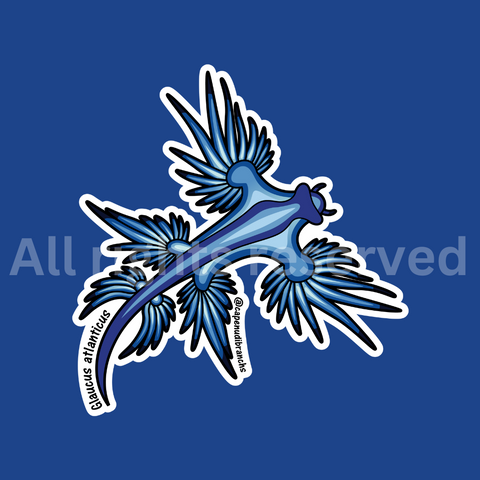 The Sea Swallow - Sticker