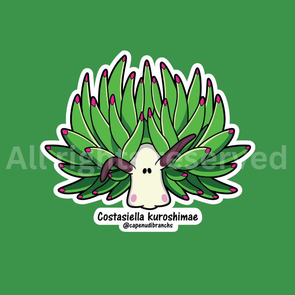 Leaf Sheep - Sticker – Cape Nudibranchs